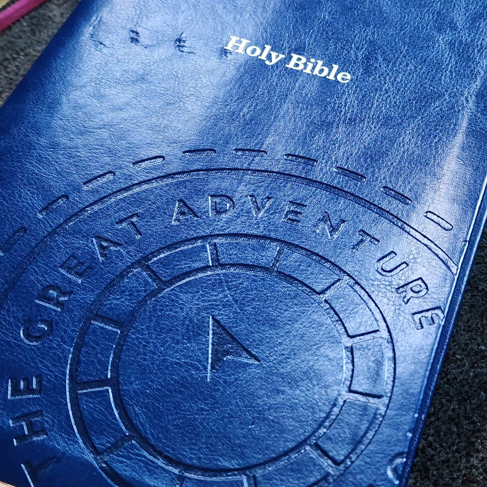The Great Adventure Catholic Bible Imitation Leather Cavins, Jeff - Picture 3 of 16
